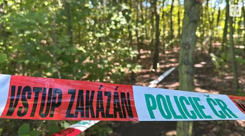 У Празі розбився приватний літак: є загиблі
